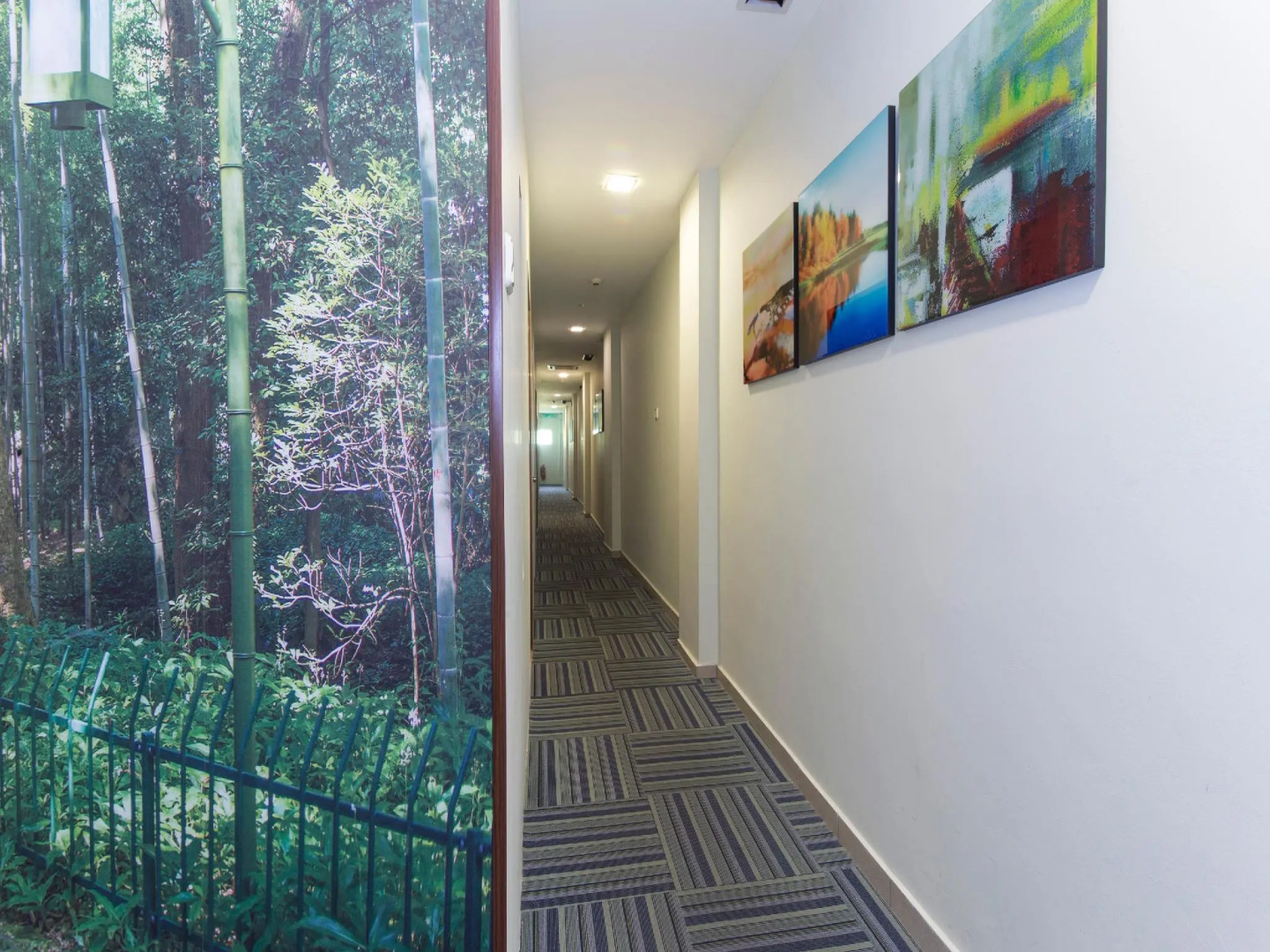 Foto - Rain Forest Hotel