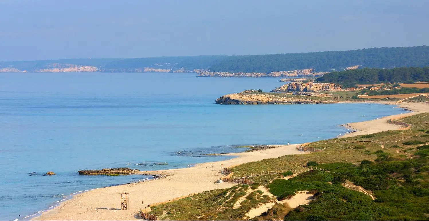 Photo - Valentin Son Bou