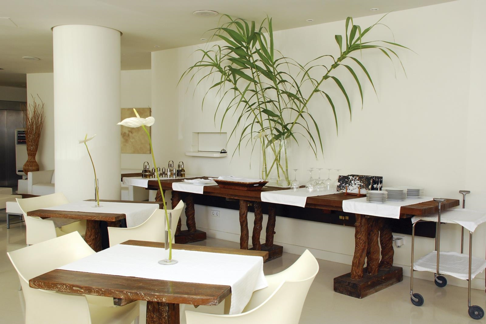 Foto - Pacha Hotel