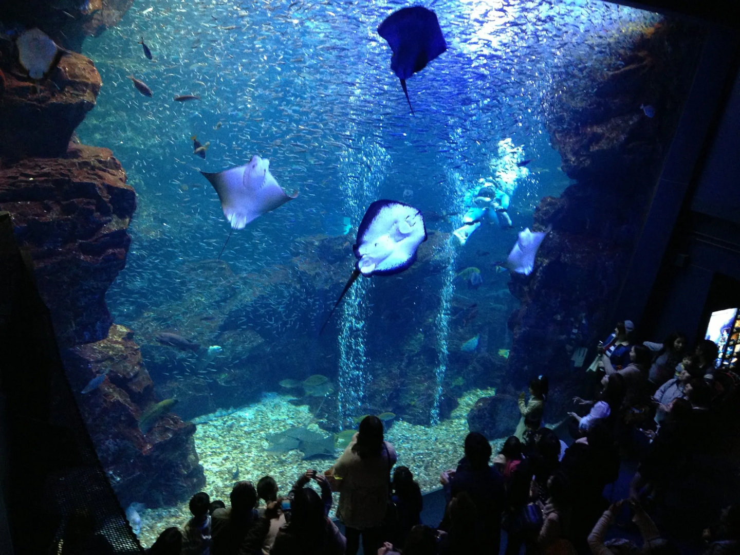 Foto - HOTEL LiVEMAX Kyoto Gojo