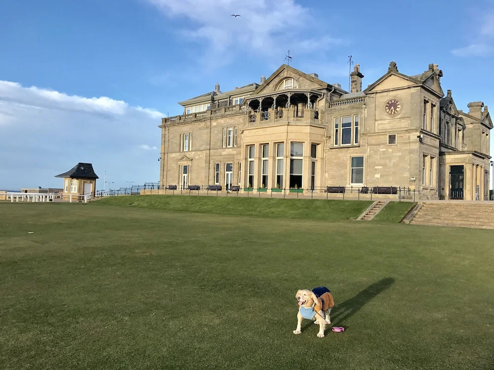 Foto - No12 Bed and Breakfast, St Andrews