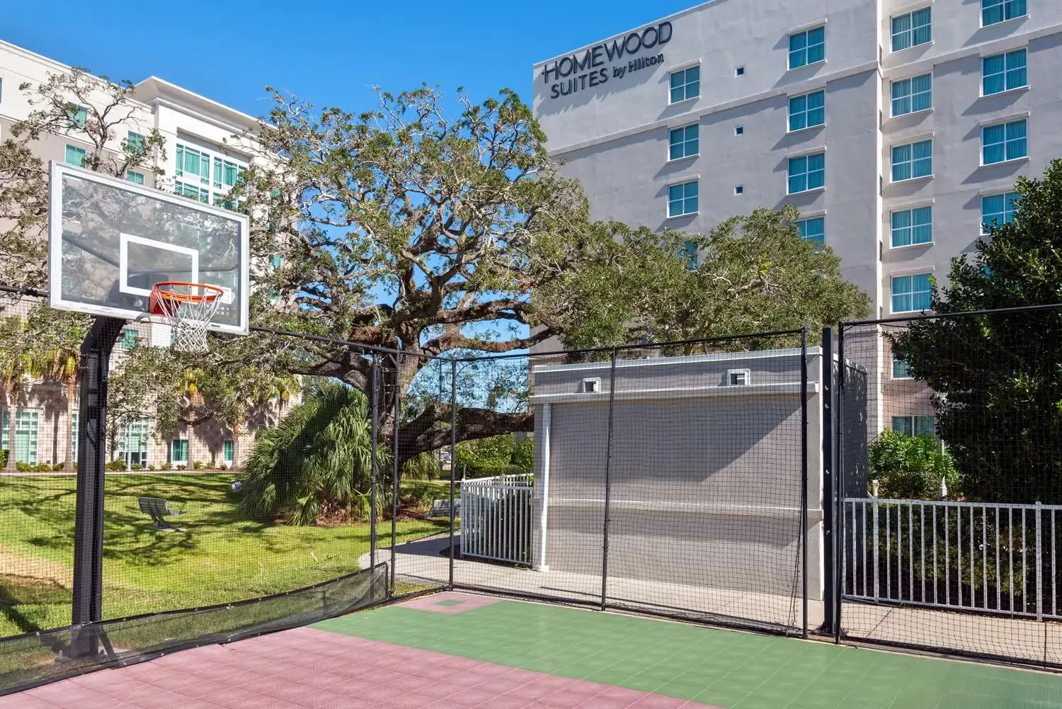 Foto - Homewood Suites by Hilton Tampa Airport - Westshore