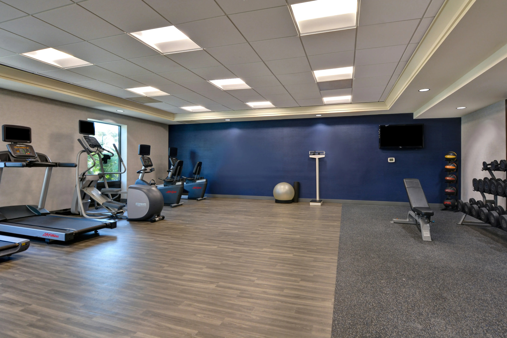 Foto - Hampton Inn & Suites Clearwater/St. Petersburg-Ulmerton Road, FL