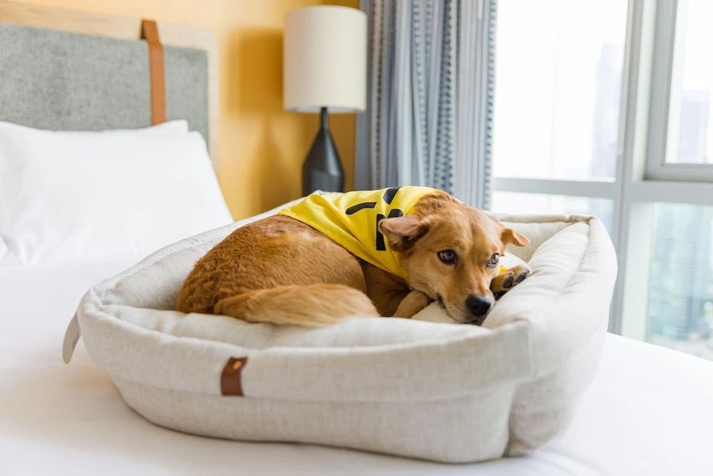 Photo - Sentral Michigan Avenue