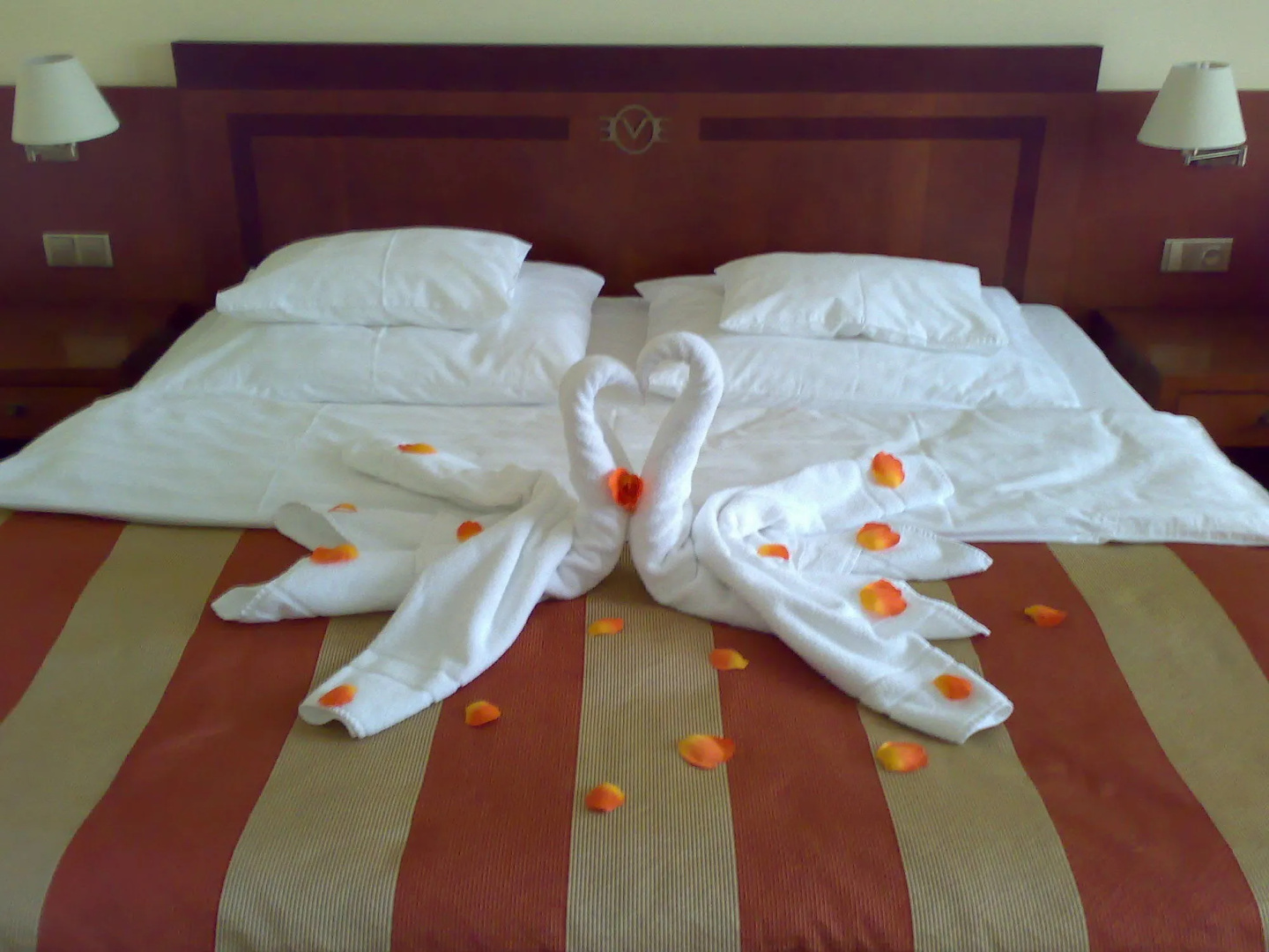 Photo - Hotel Villa