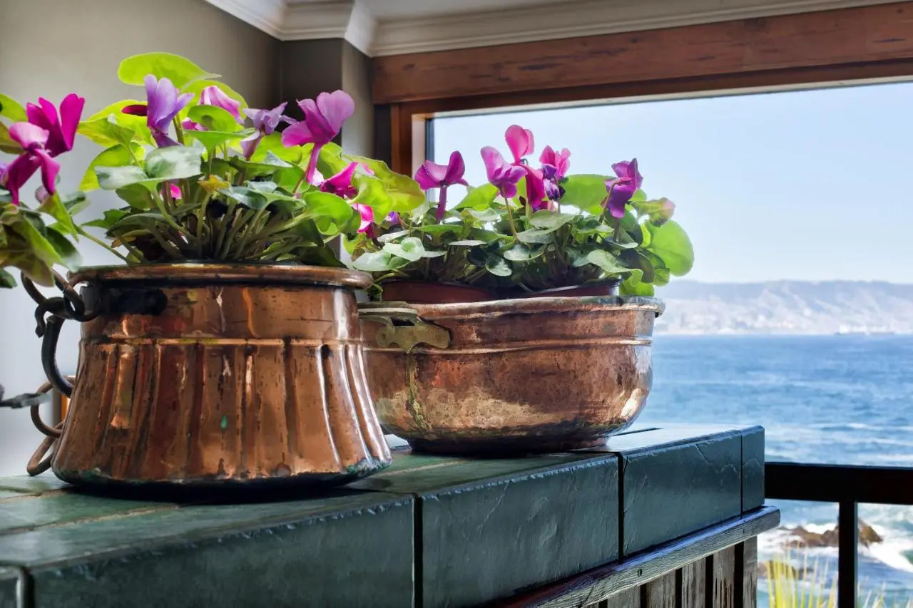 Photo - Hotel Oceanic