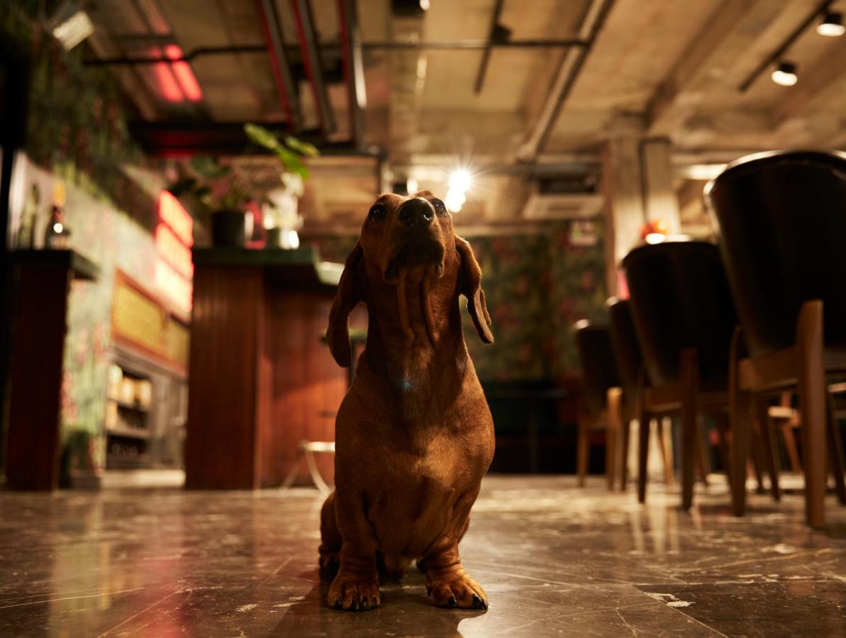 Photo - Scarlet Hotel