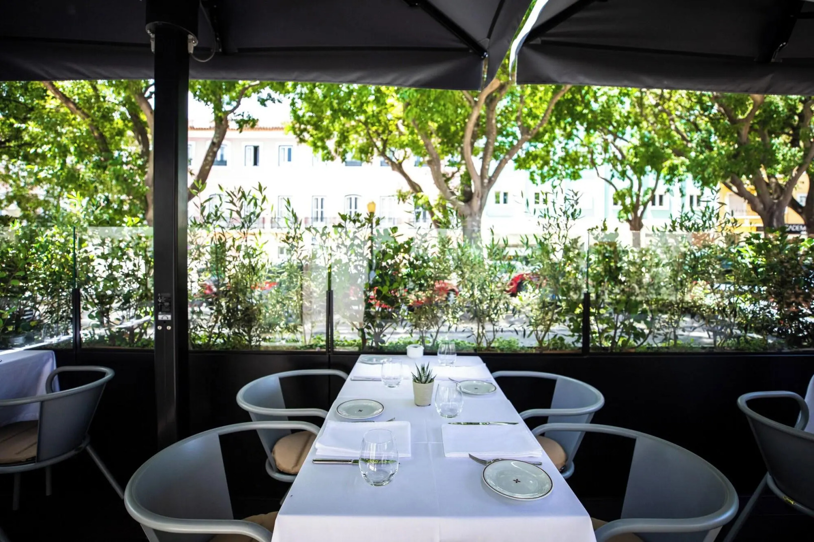 Photo - Sublime Lisboa