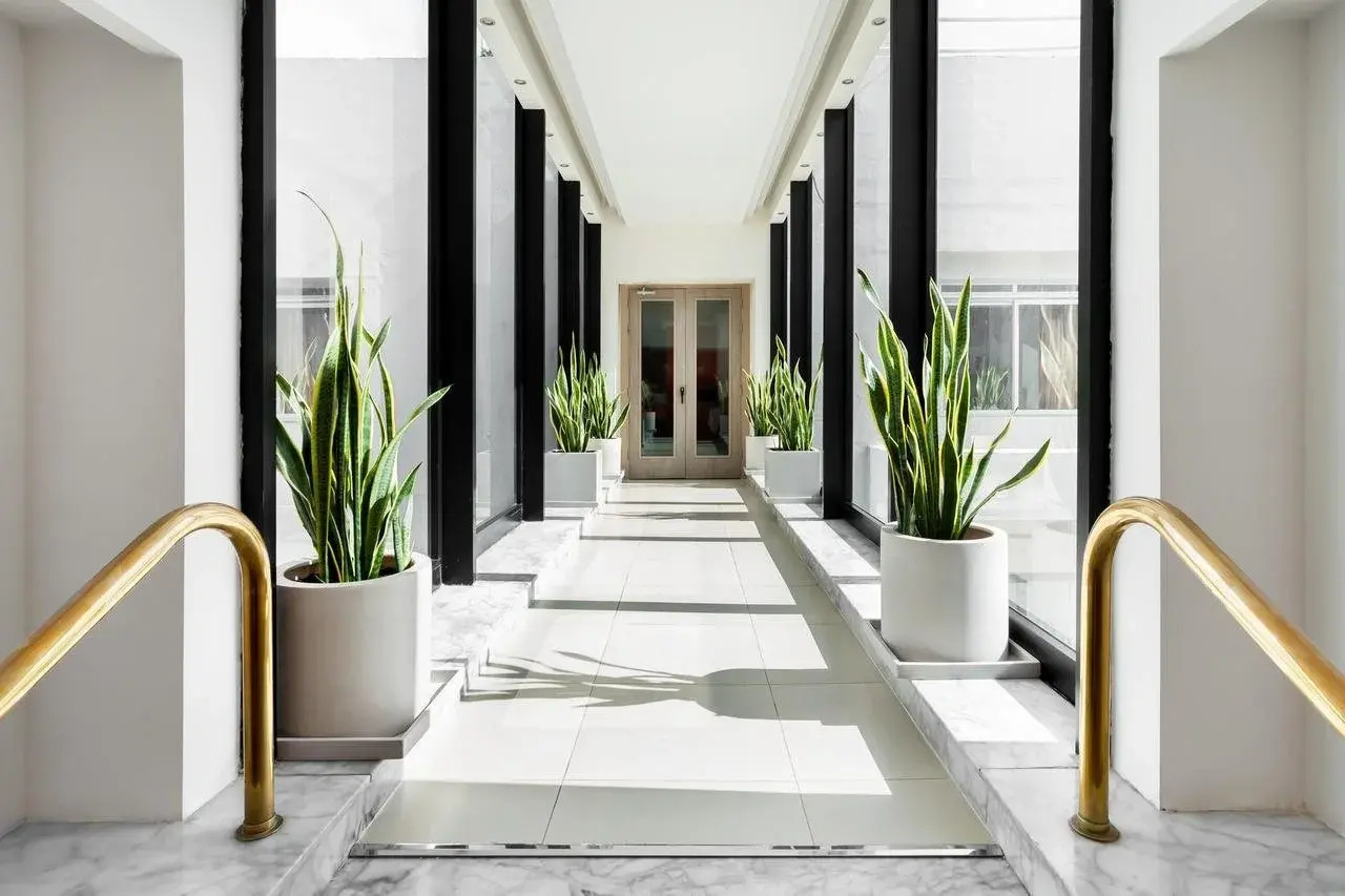 Foto - Plaza Regency Hotels