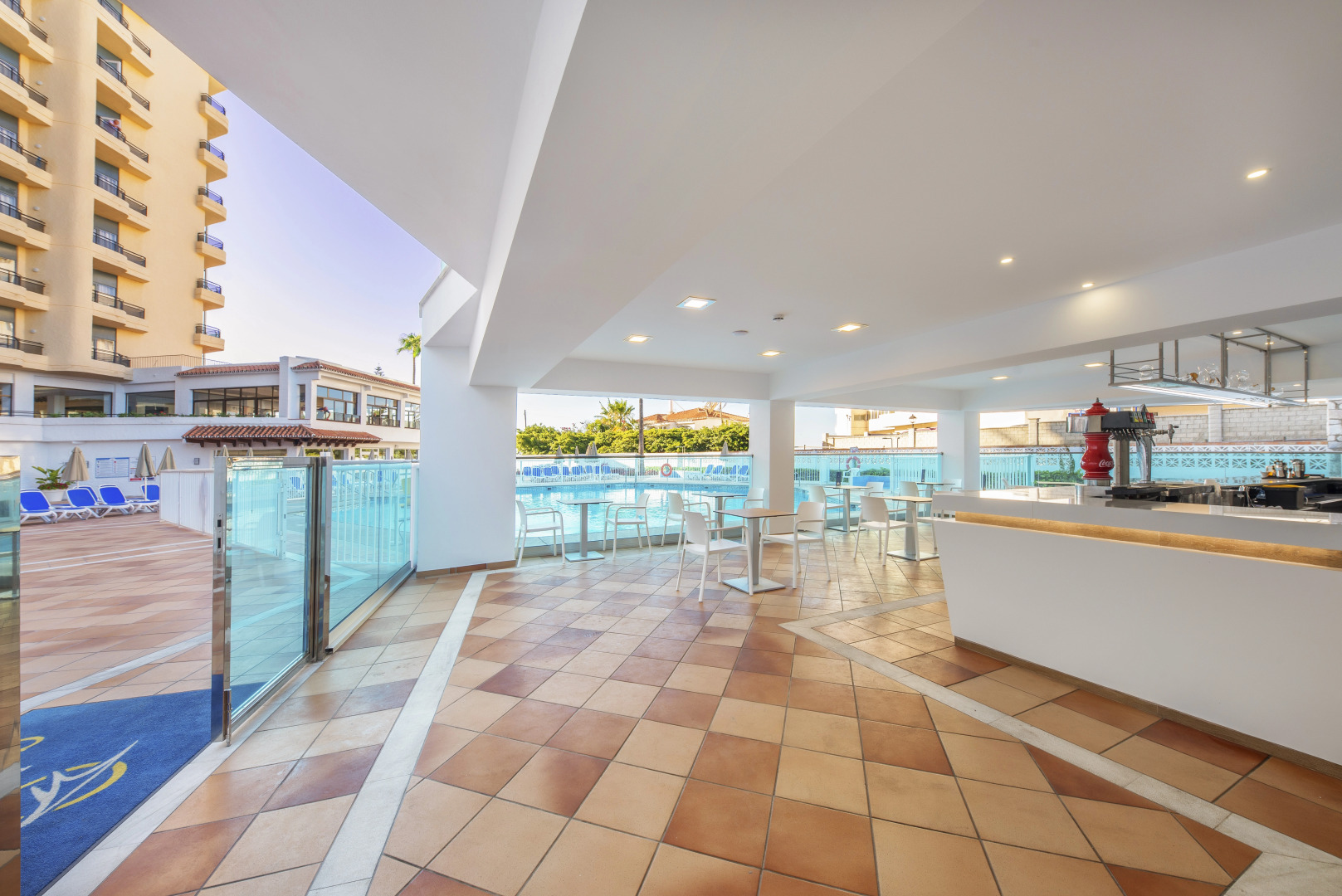 Photo - Globales Gardenia