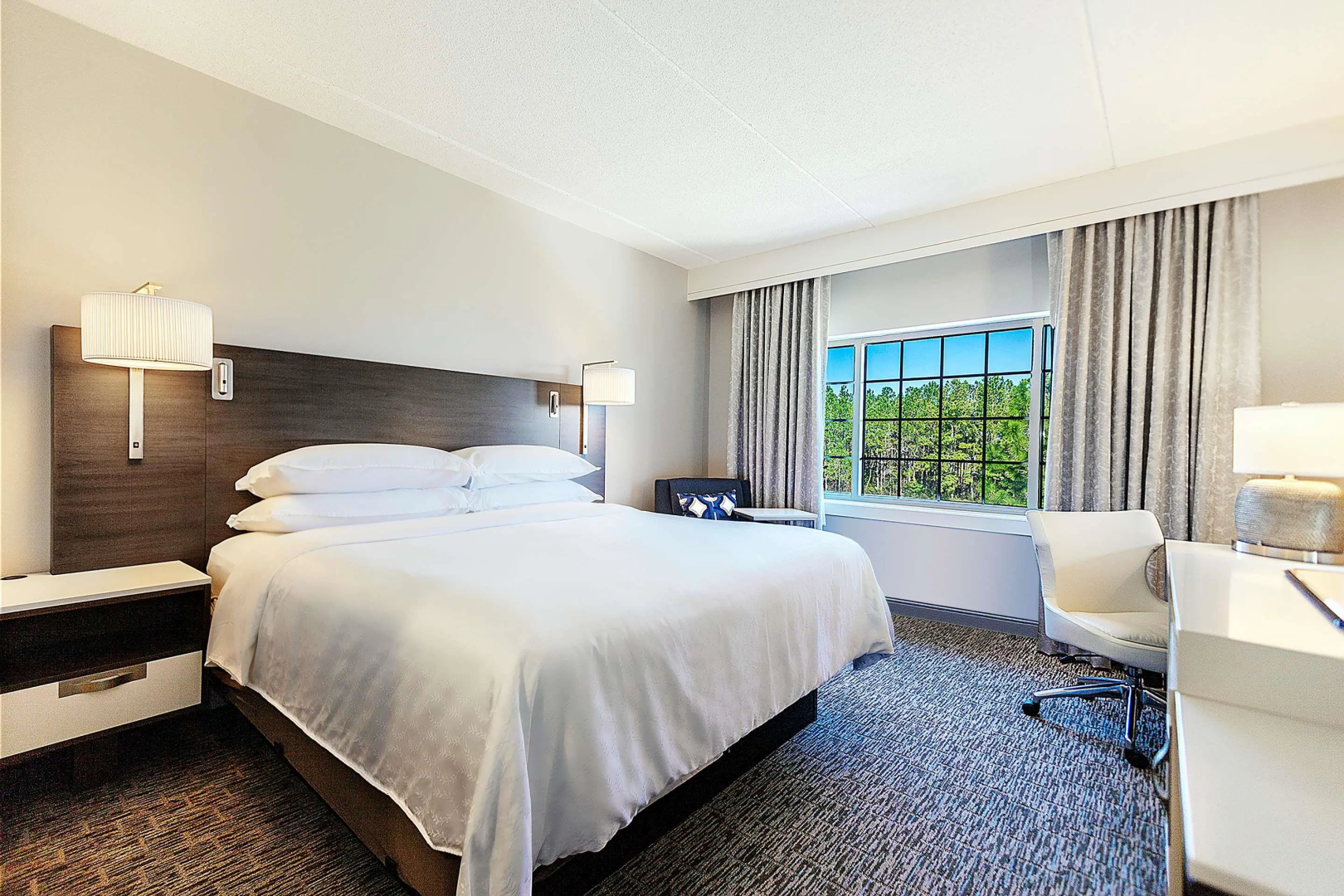 Foto - Sheraton Jacksonville Hotel