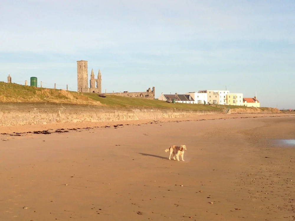 Foto - No12 Bed and Breakfast, St Andrews