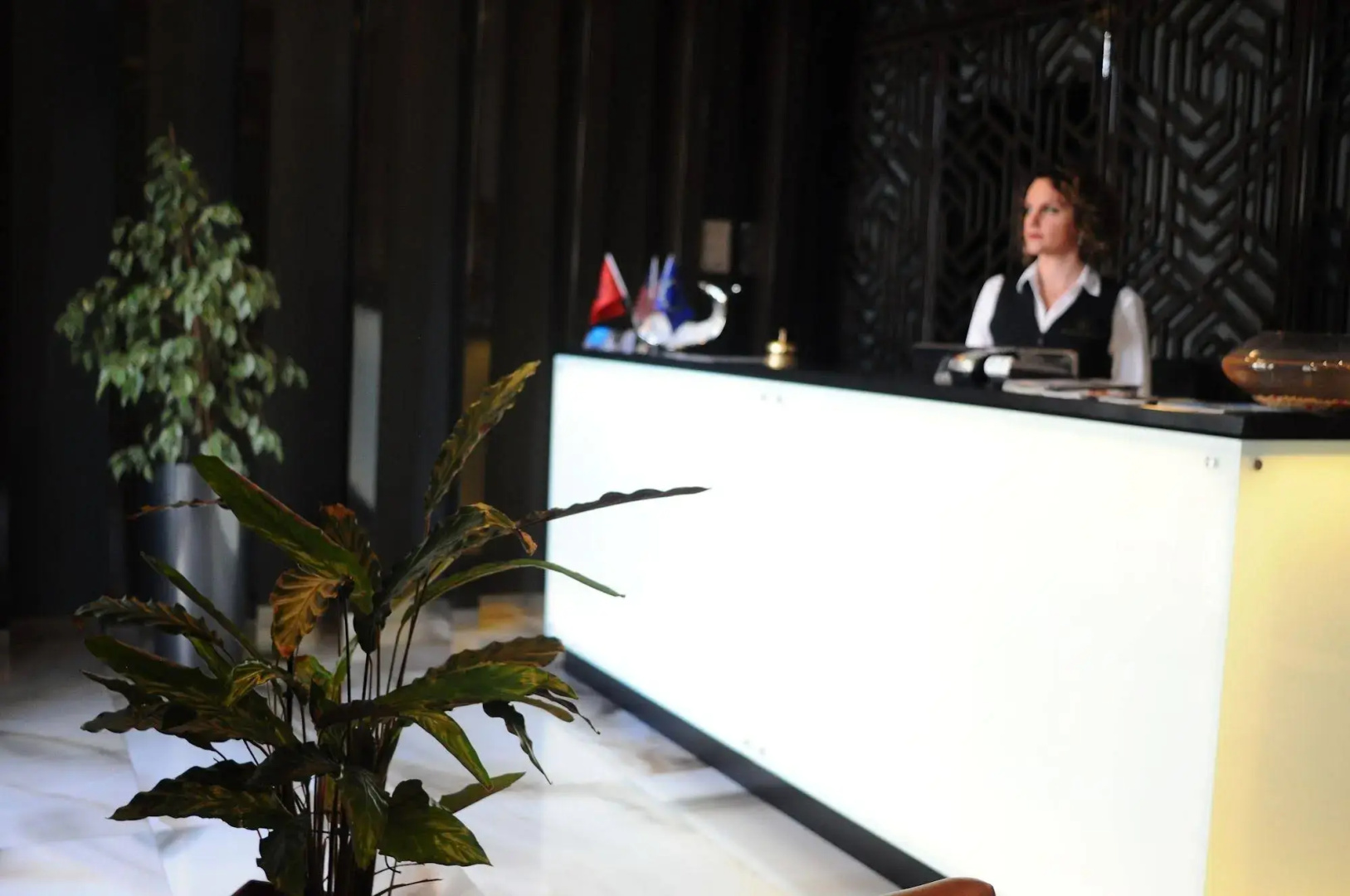 Photo - Senator Hotel