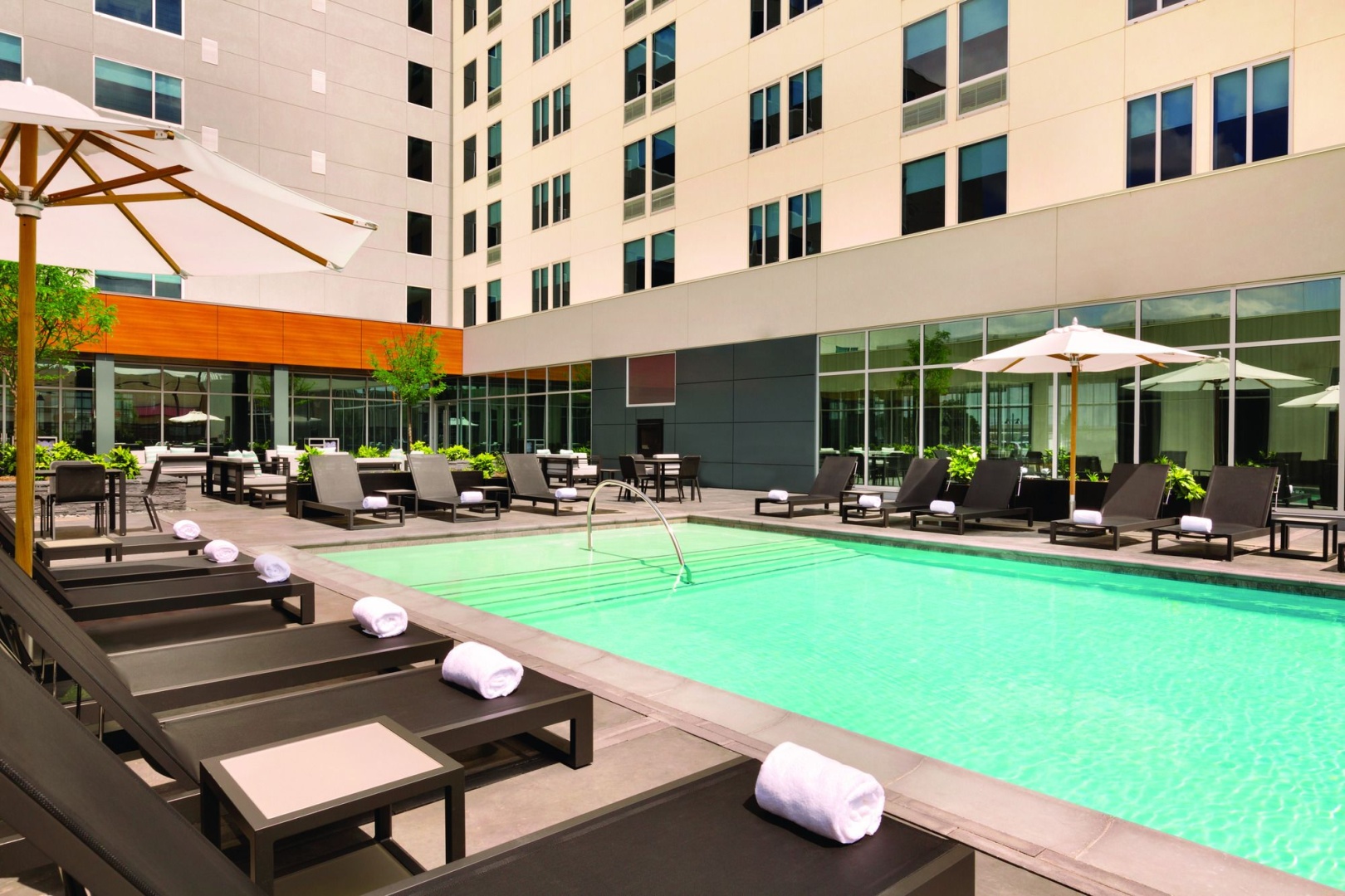 Foto - Element by Marriott Dallas Love Field