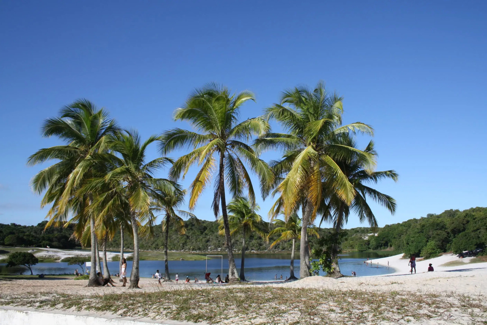 Foto - Villa Tropicale