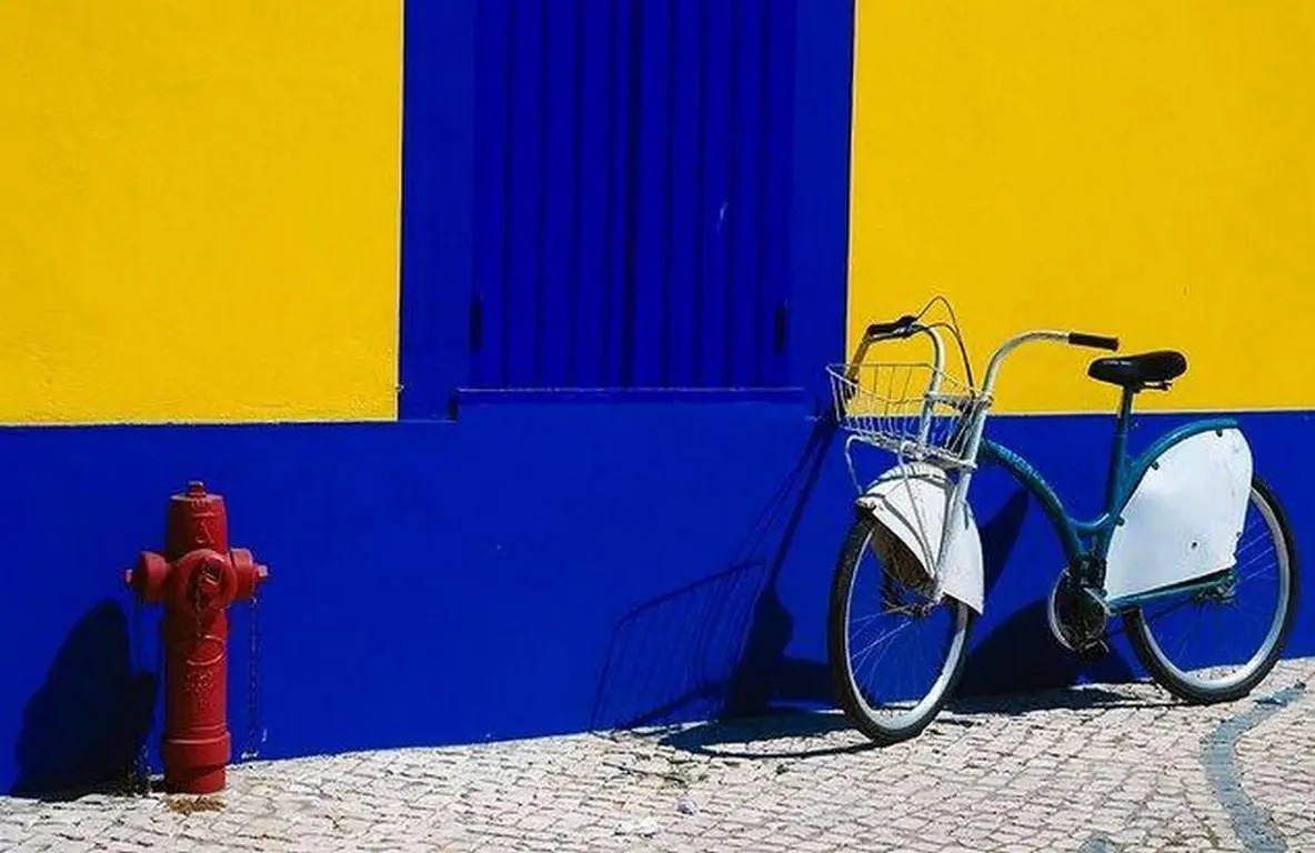 Foto - Hotel Moliceiro