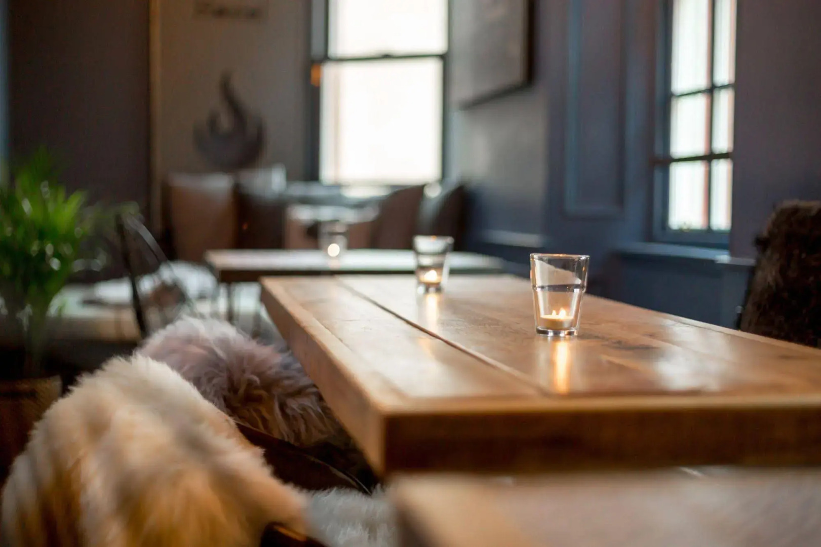 Foto - The Baxter Hostel