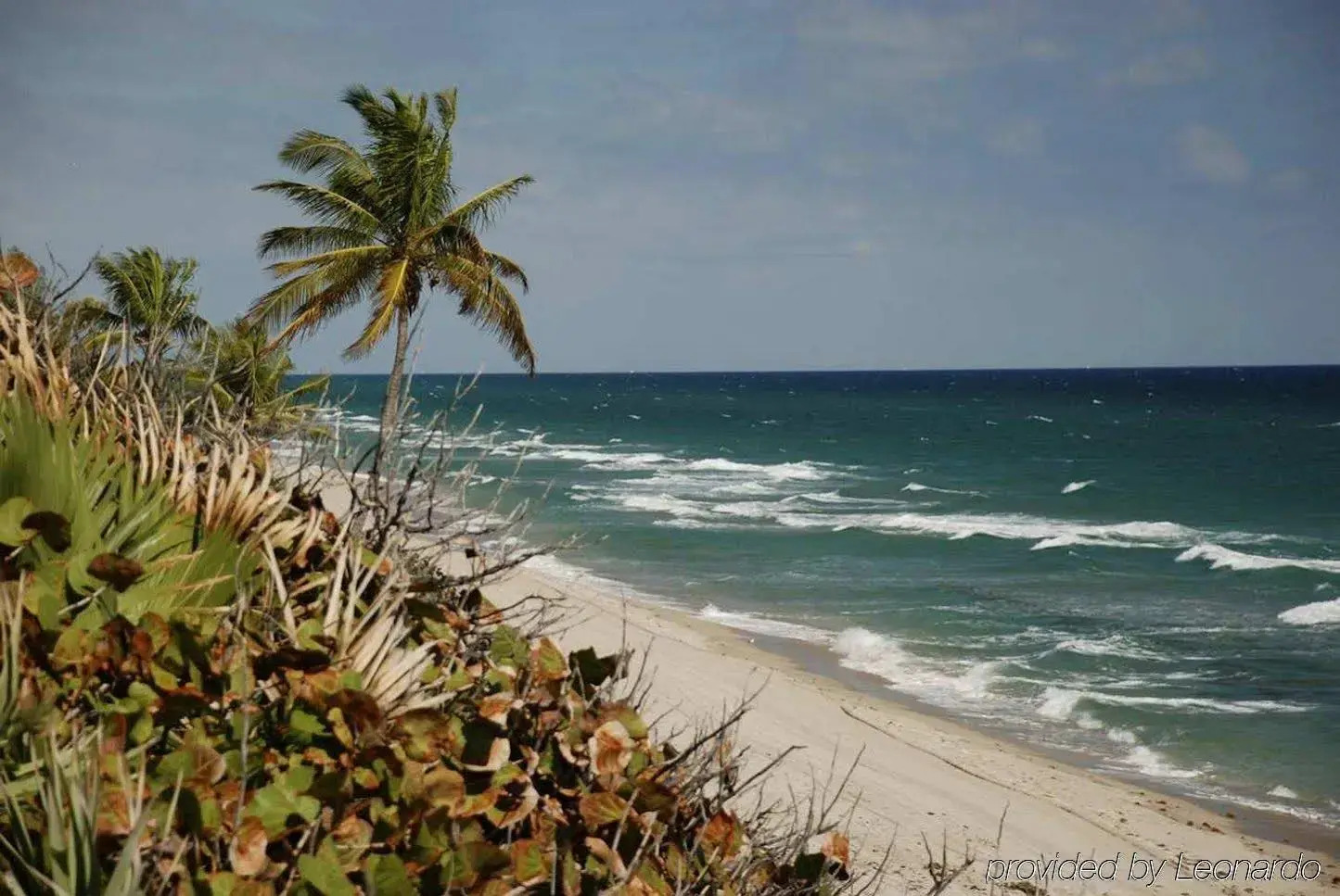 Photo - DoubleTree by Hilton Grand Hotel Biscayne Bay