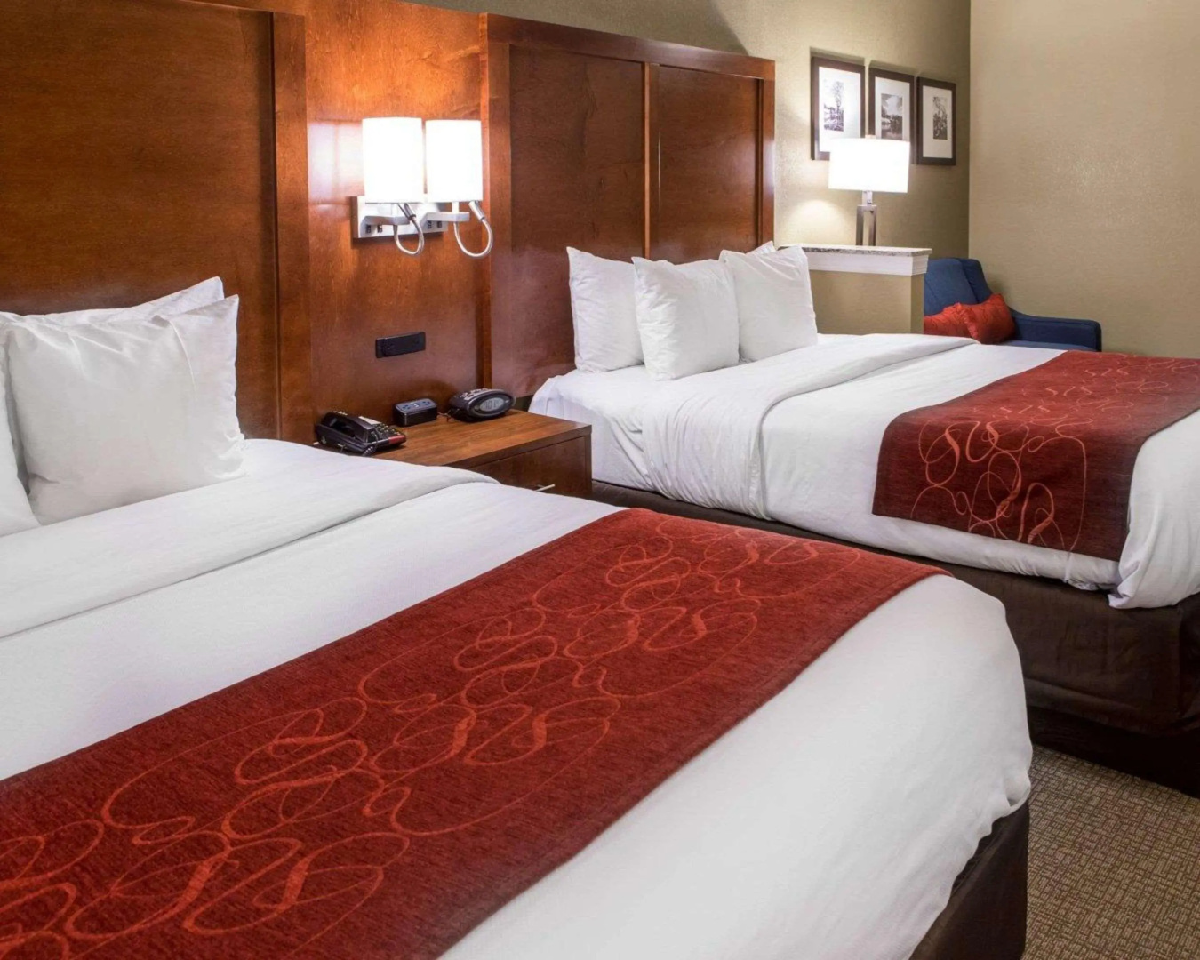 Foto - Comfort Suites Newark - Harrison