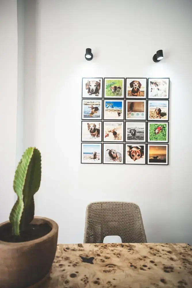 Foto - The Bear and Ween