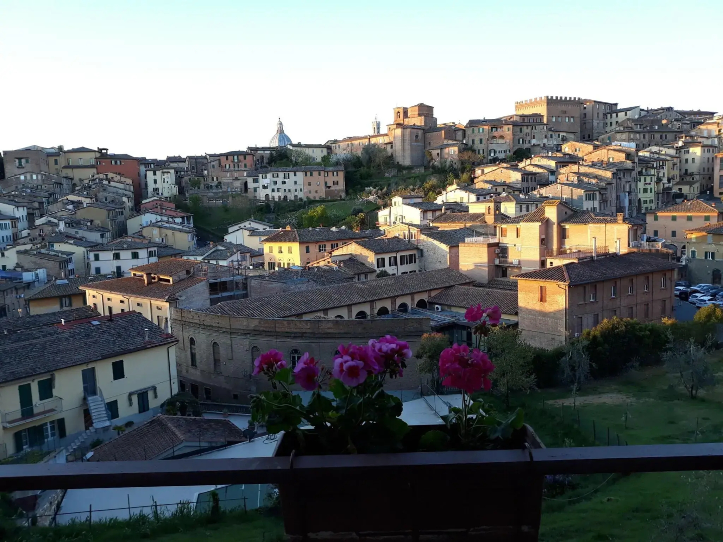 Photo - Hotel Minerva