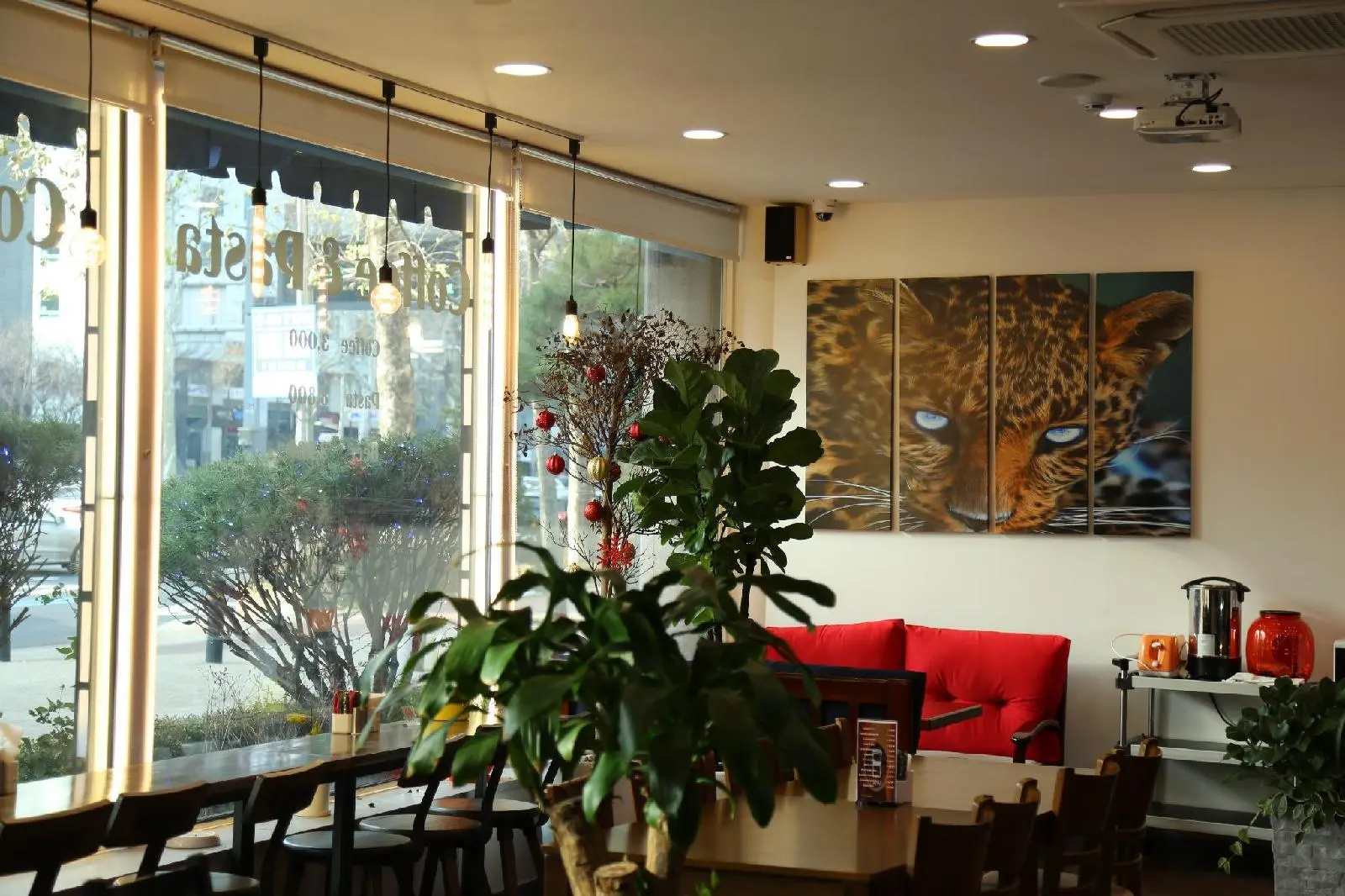 Foto - Lavita Hotel