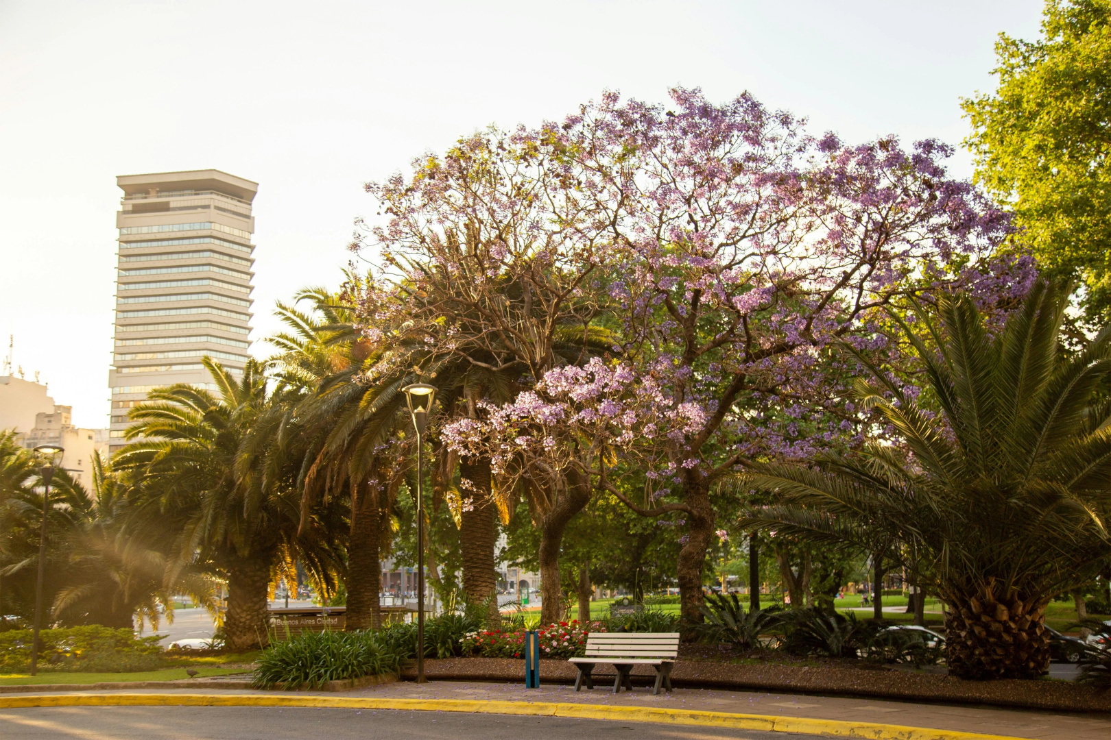 Foto - Park Tower, a Luxury Collection Hotel, Buenos Aires