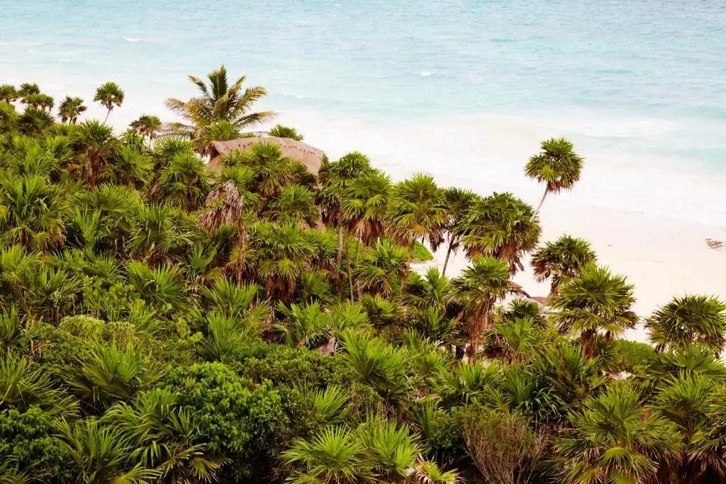 Foto - Papaya Playa Project, Tulum, a Member of Design Hotels