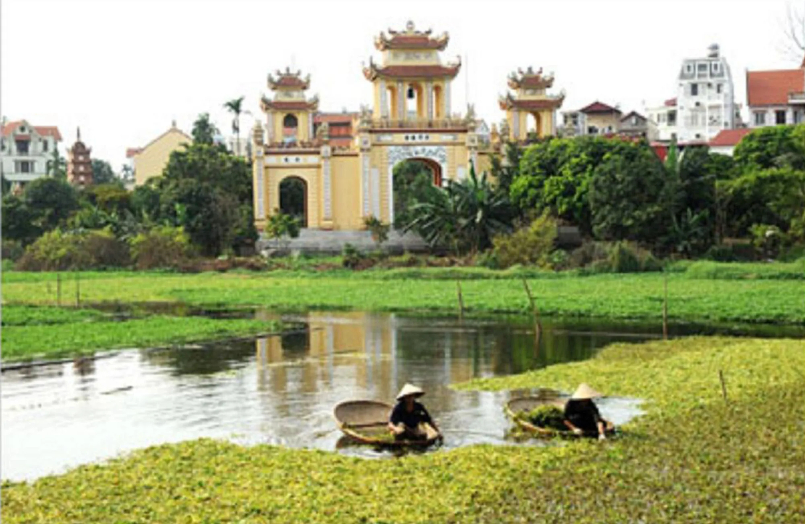 Photo - Wild Lotus Hotel Apartment 2
