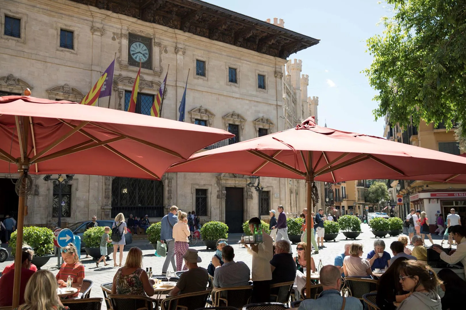 Foto - Hotel Cappuccino - Palma