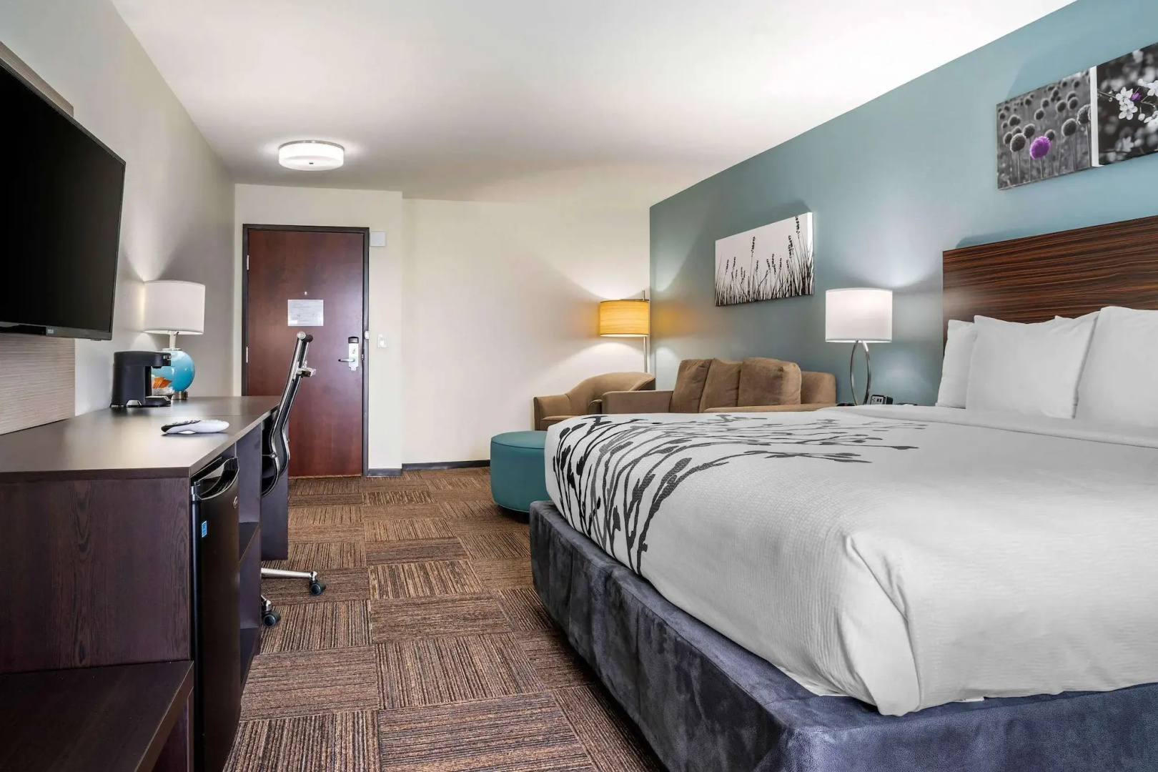 Foto - Sleep Inn & Suites near Westchase
