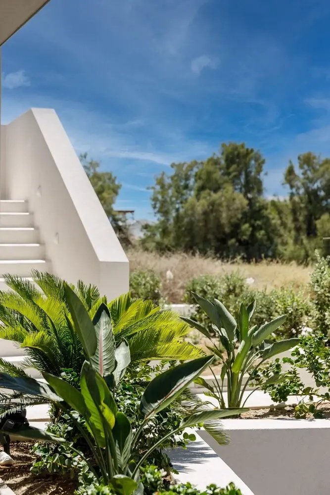 Photo - Opalia Suites