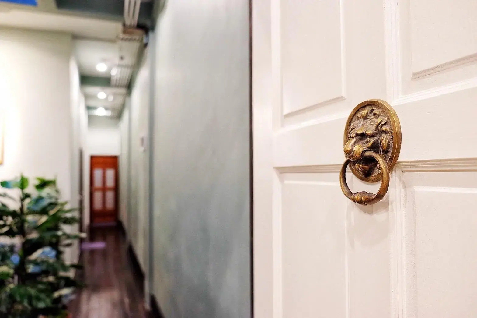 Foto - The Orientale