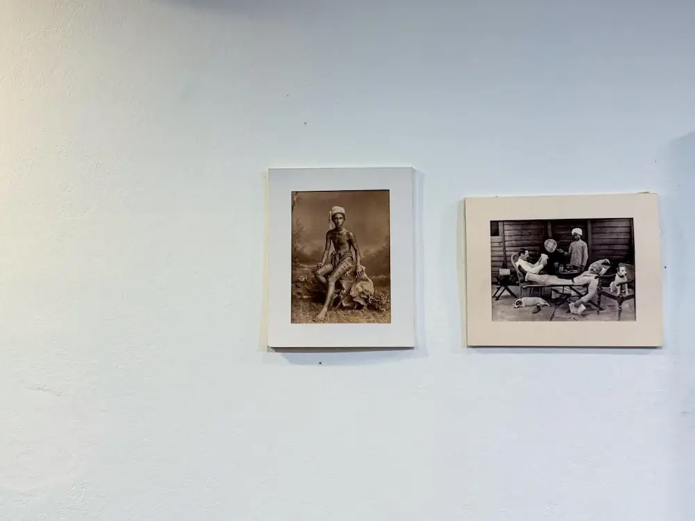 Foto - TarTar & Nay Hostel