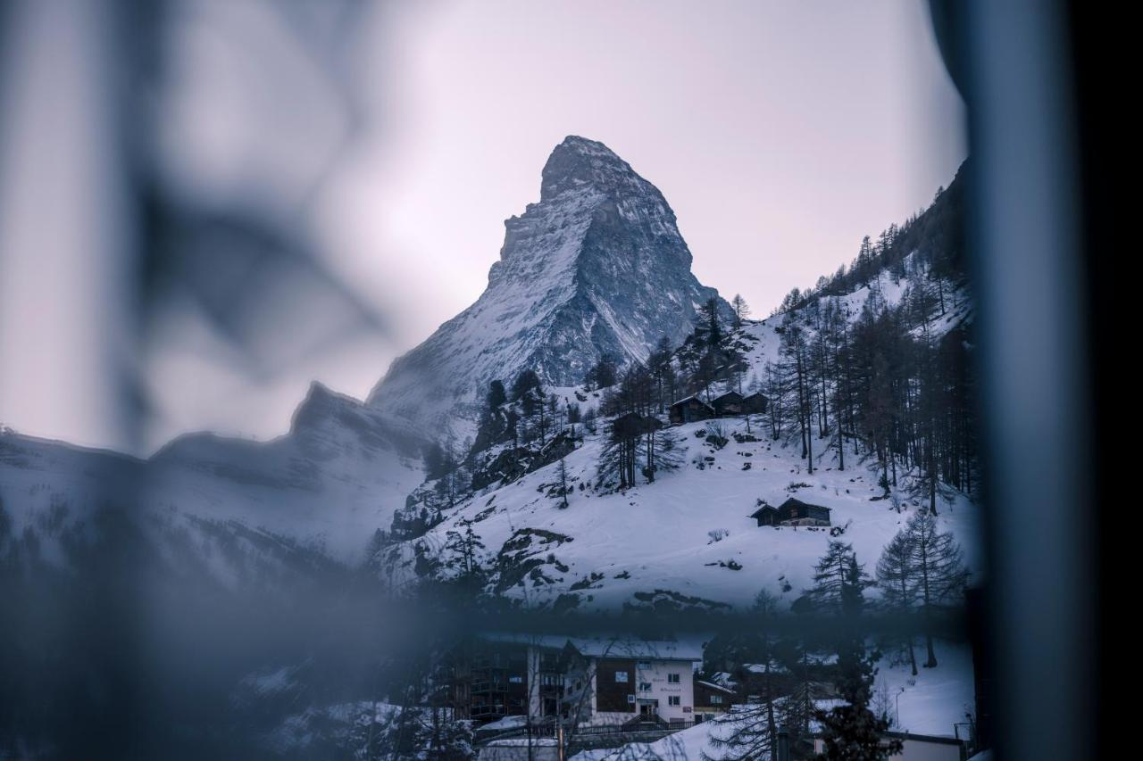 Foto - Hotel Monte Rosa