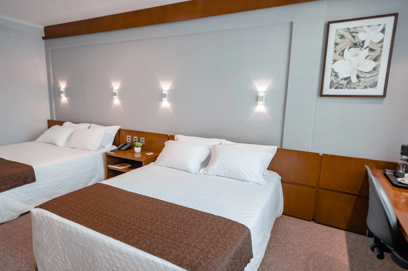 Foto - Hotel Cortez