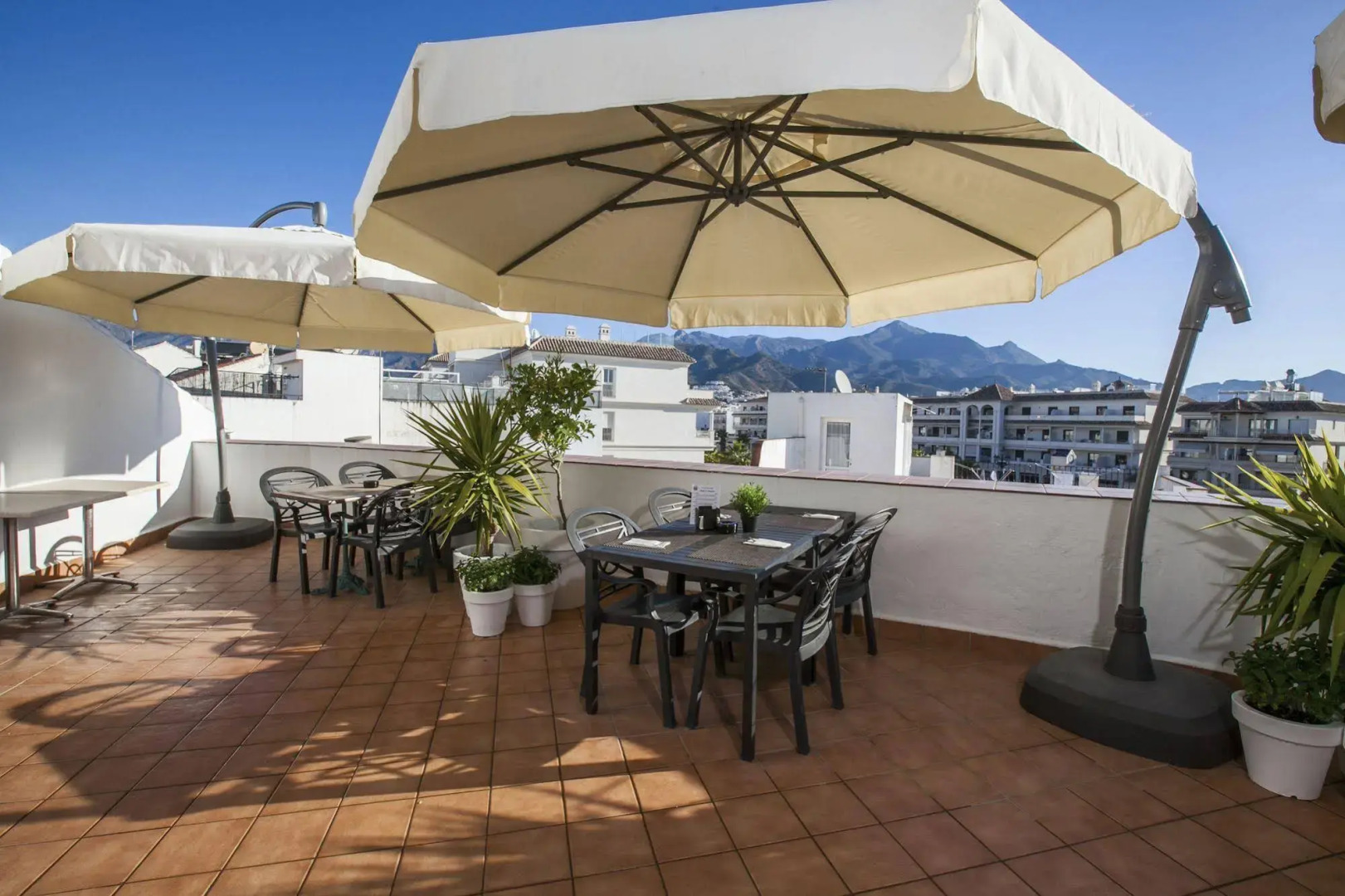 Foto - Hotel Plaza Cavana