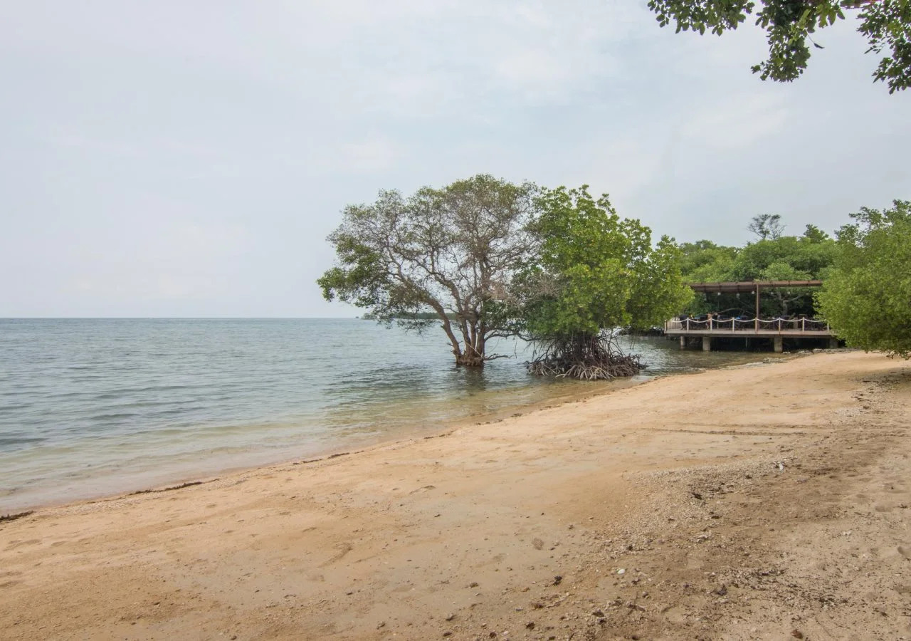 Photo - The Menjangan by LifestyleRetreats