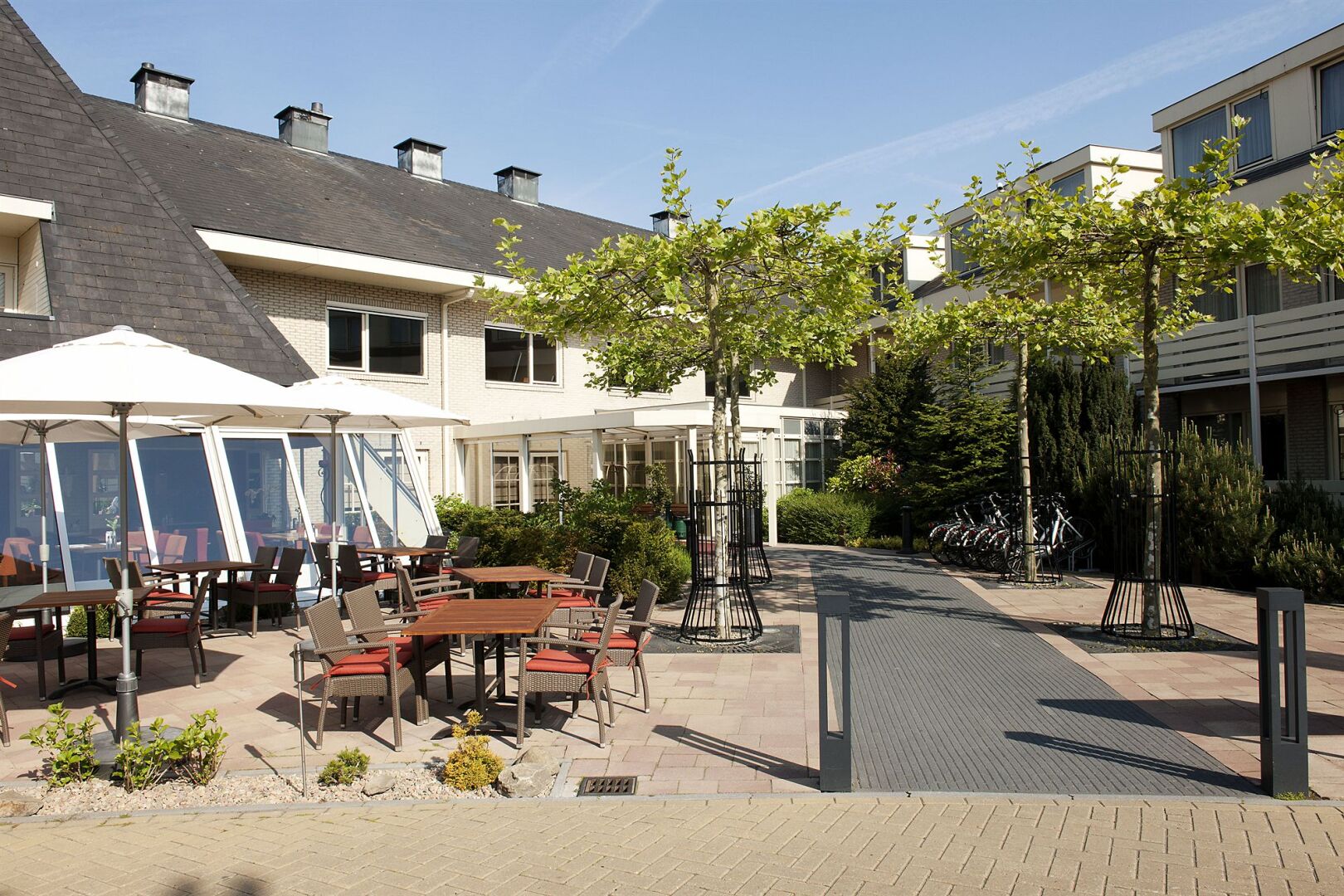 Photo - Carlton President