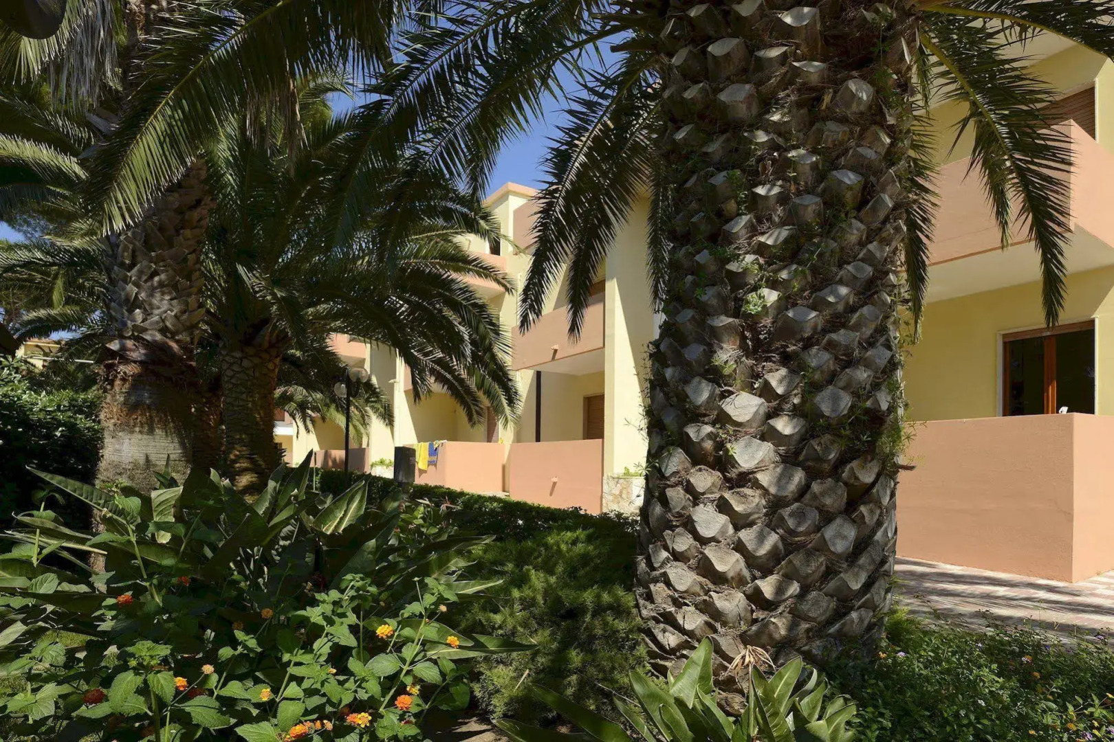 Foto - Residence Oasis