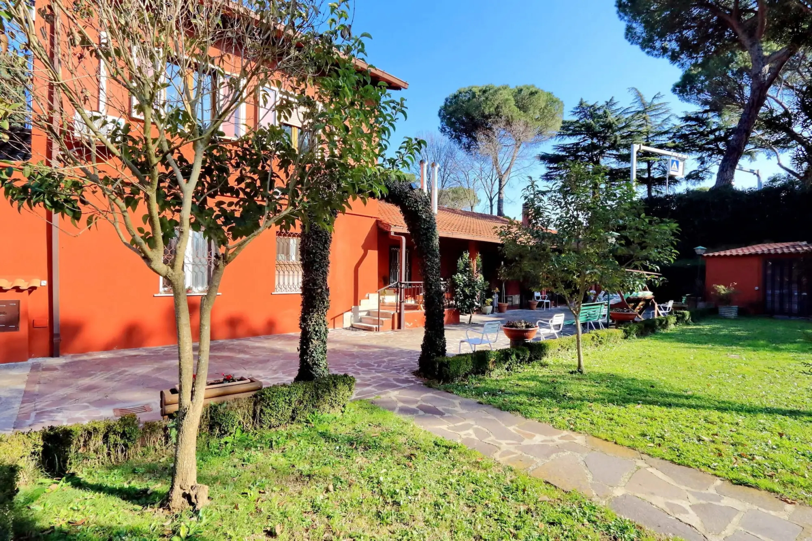 Foto - Antico Platano