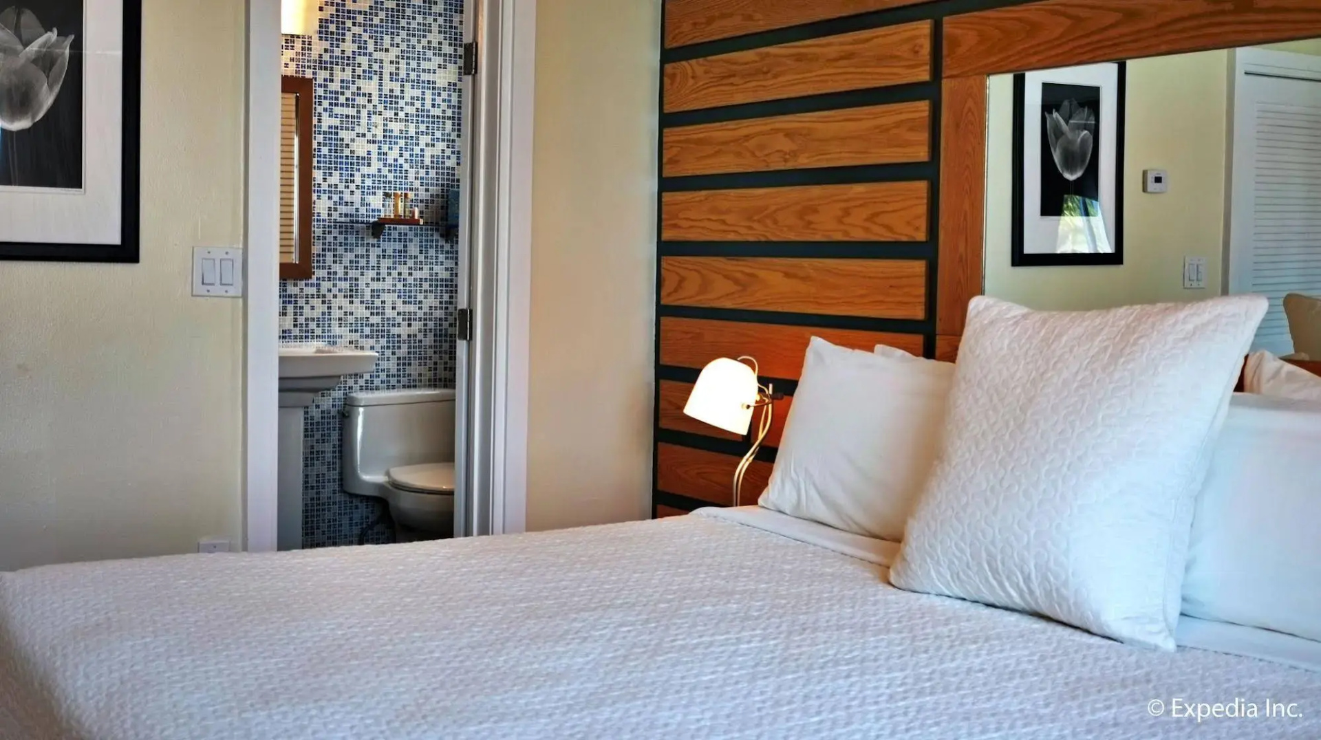 Foto - Colony Hotel