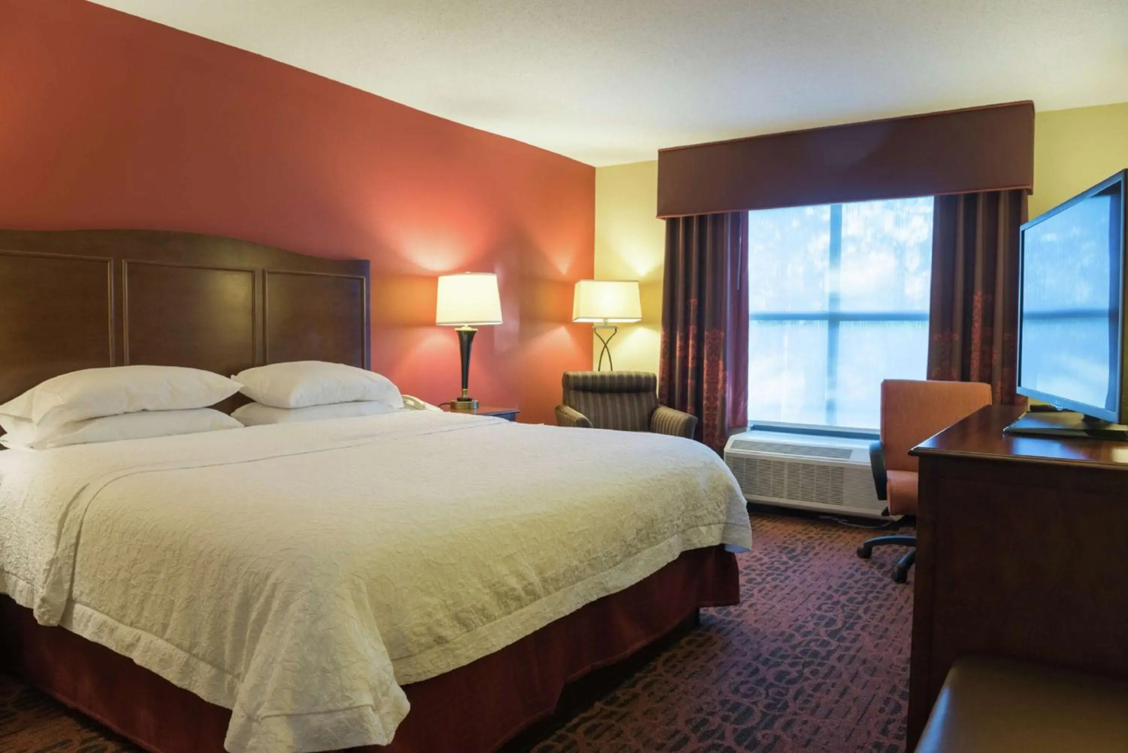 Photo - Hampton Inn & Suites Tampa-North