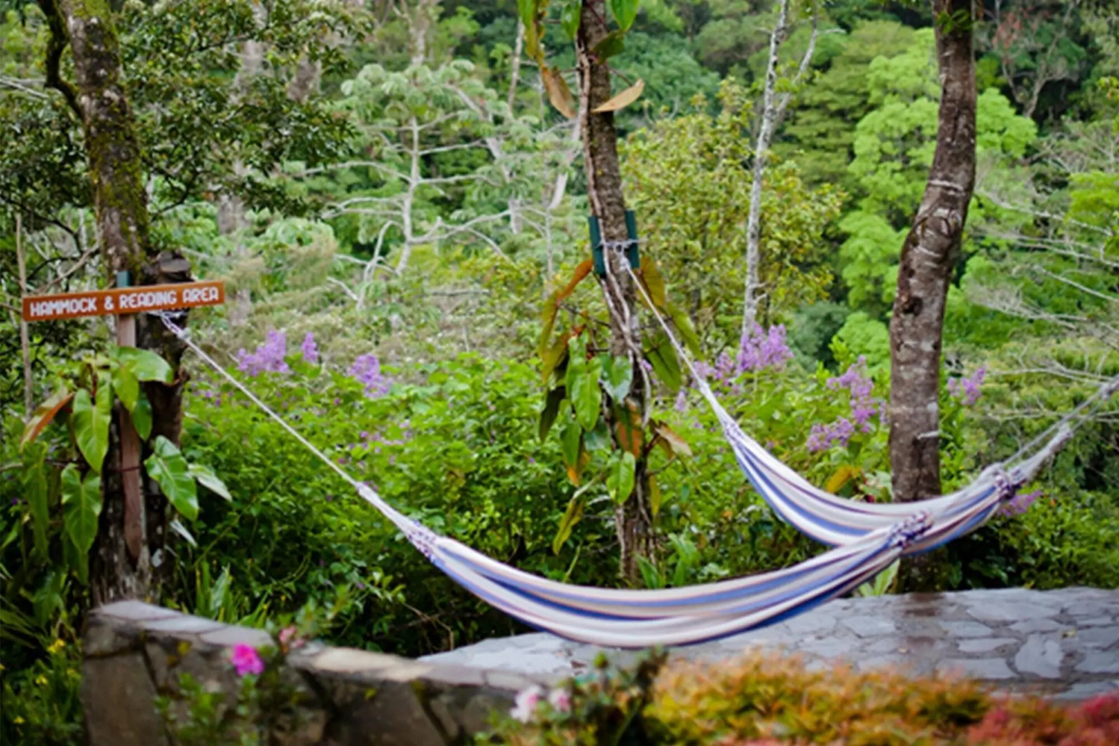 Foto - Monteverde Lodge by Böëna