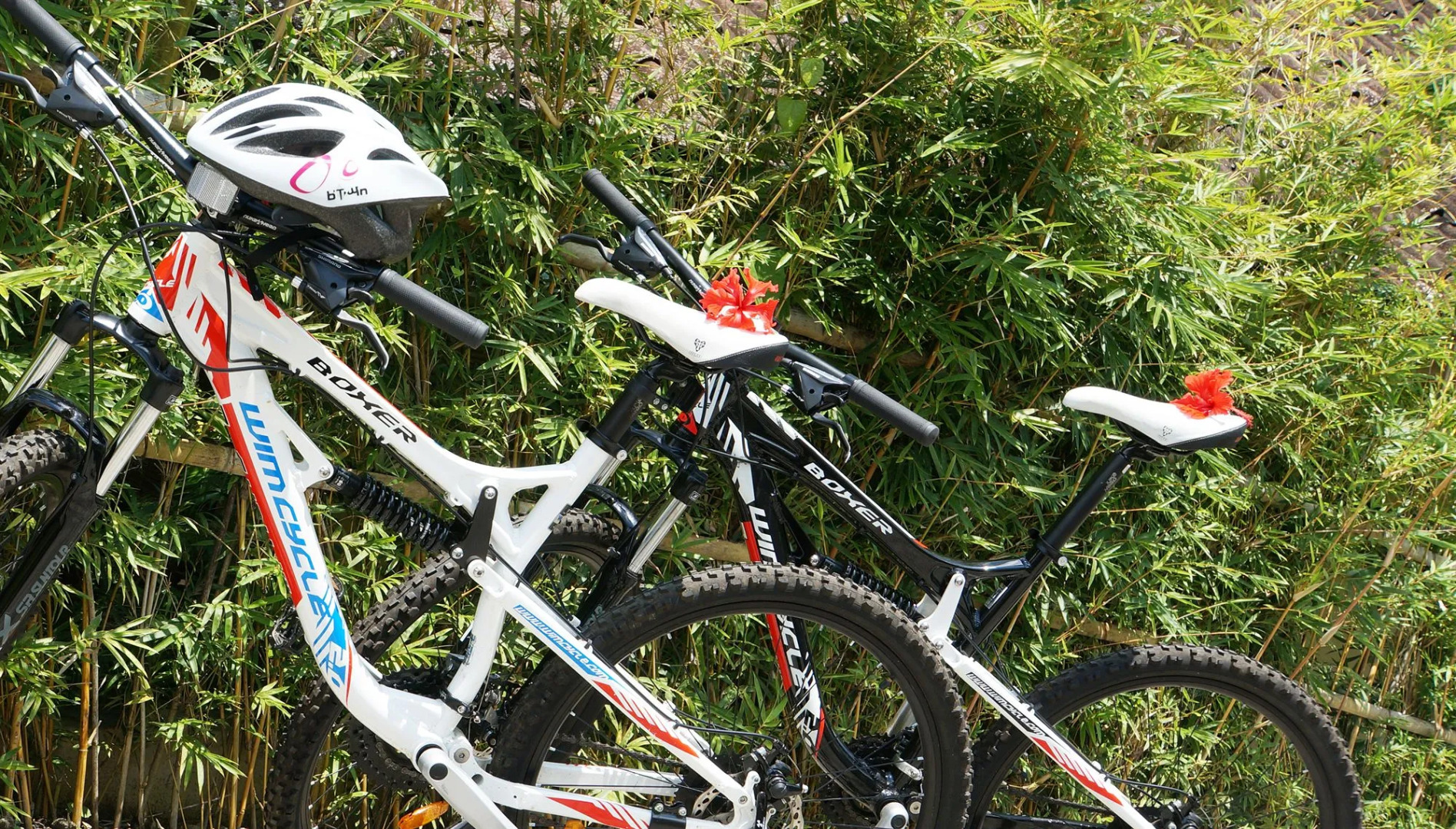 Foto - Samanvaya - Adults Only