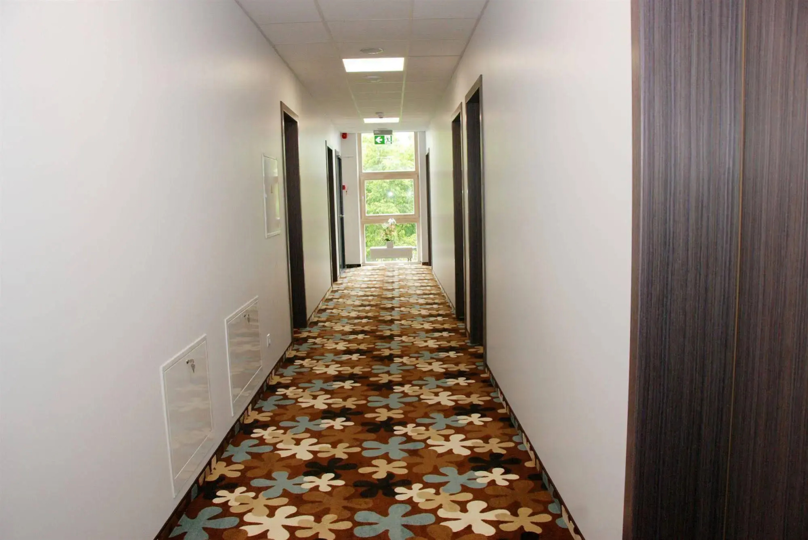 Foto - Algiro Hotel