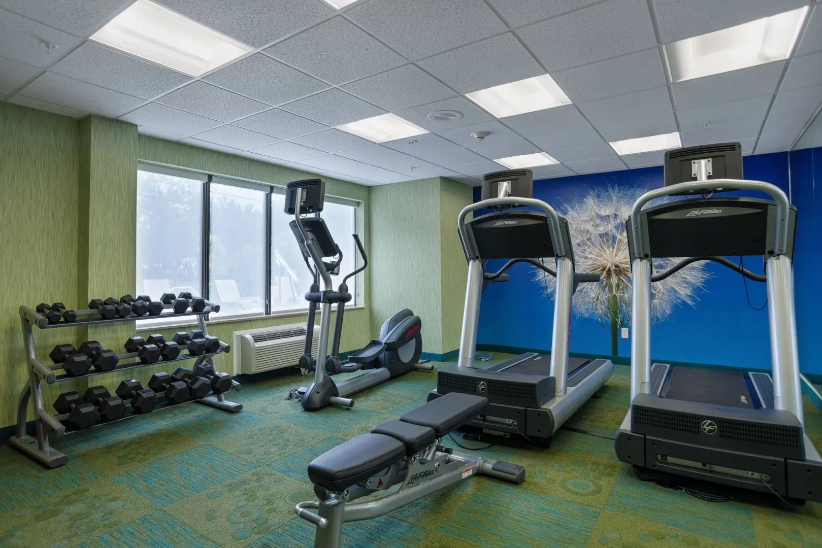 Photo - SpringHill Suites St Petersburg Clearwater