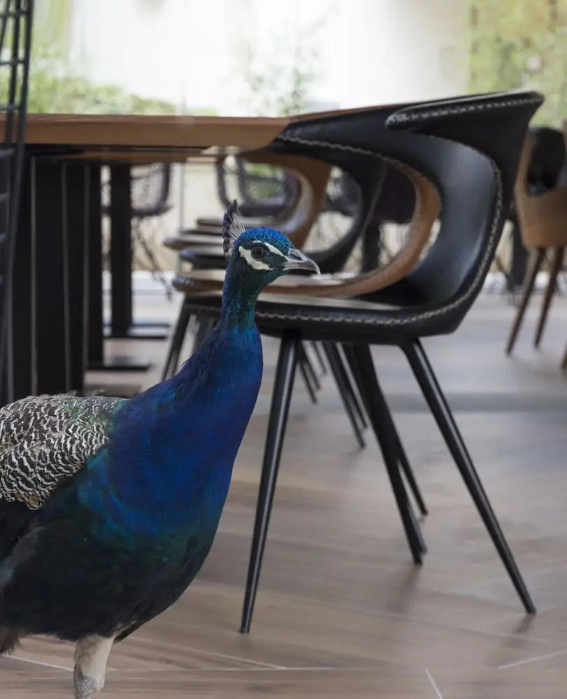 Photo - Time Boutique Hotel