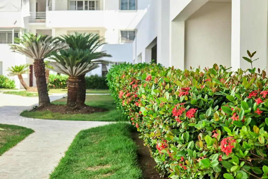 Foto - Las Terrazas Condo Punta Cana Beach - Los Corales Village