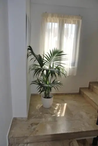 Foto - Argo Rooms-Papadakis